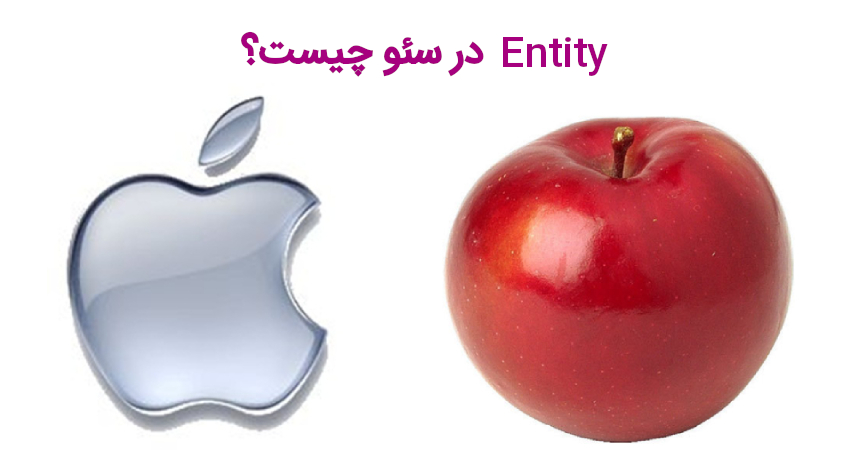 Entity در سئو چیست