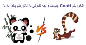 الگوریتم Coati چیست و چه تفاوتی با الگوریتم پاندا دارد؟